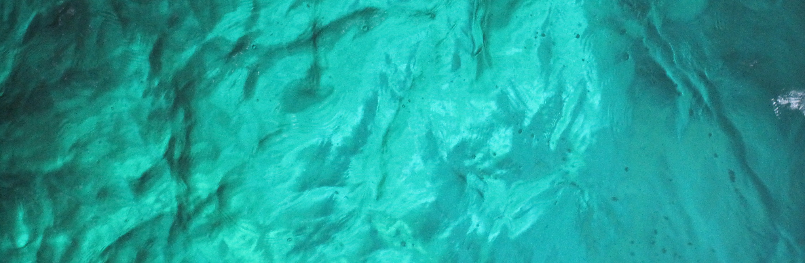 海難船舶の救助